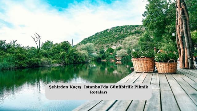 Şehirden Kaçış: İstanbul’da Günübirlik Piknik Rotaları